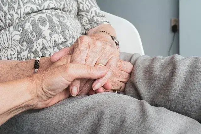 Home Help for Seniors: Cleaning, Repairs and Snow Removal